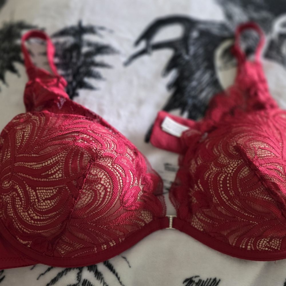 Adore Me Scarlet Lace Bra